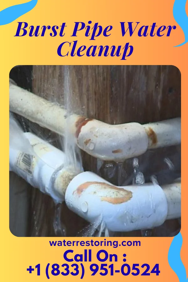 Burst Pipe Water Cleanup in Milltown, NJ