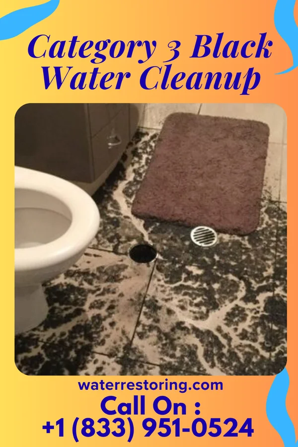 Category 3 Black Water Cleanup in Milltown, NJ