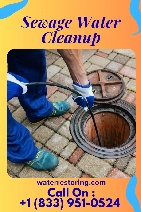 Sewage Water Cleanup in Milltown, NJ